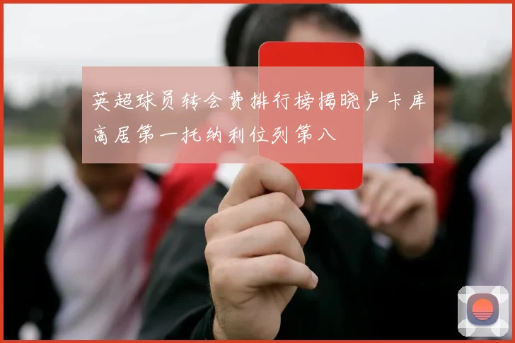 英超球员转会费排行榜揭晓卢卡库高居第一托纳利位列第八