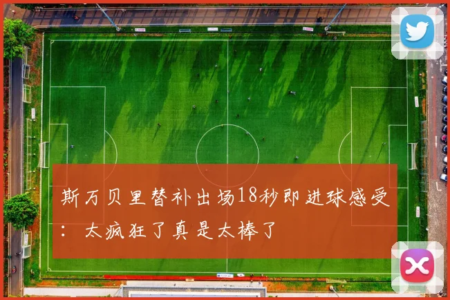 斯万贝里替补出场18秒即进球感受：太疯狂了真是太棒了